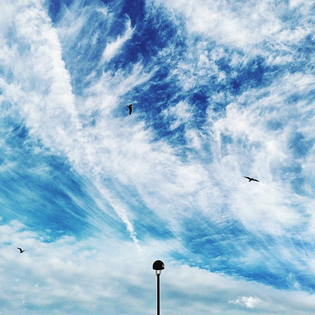 February 10, 2017