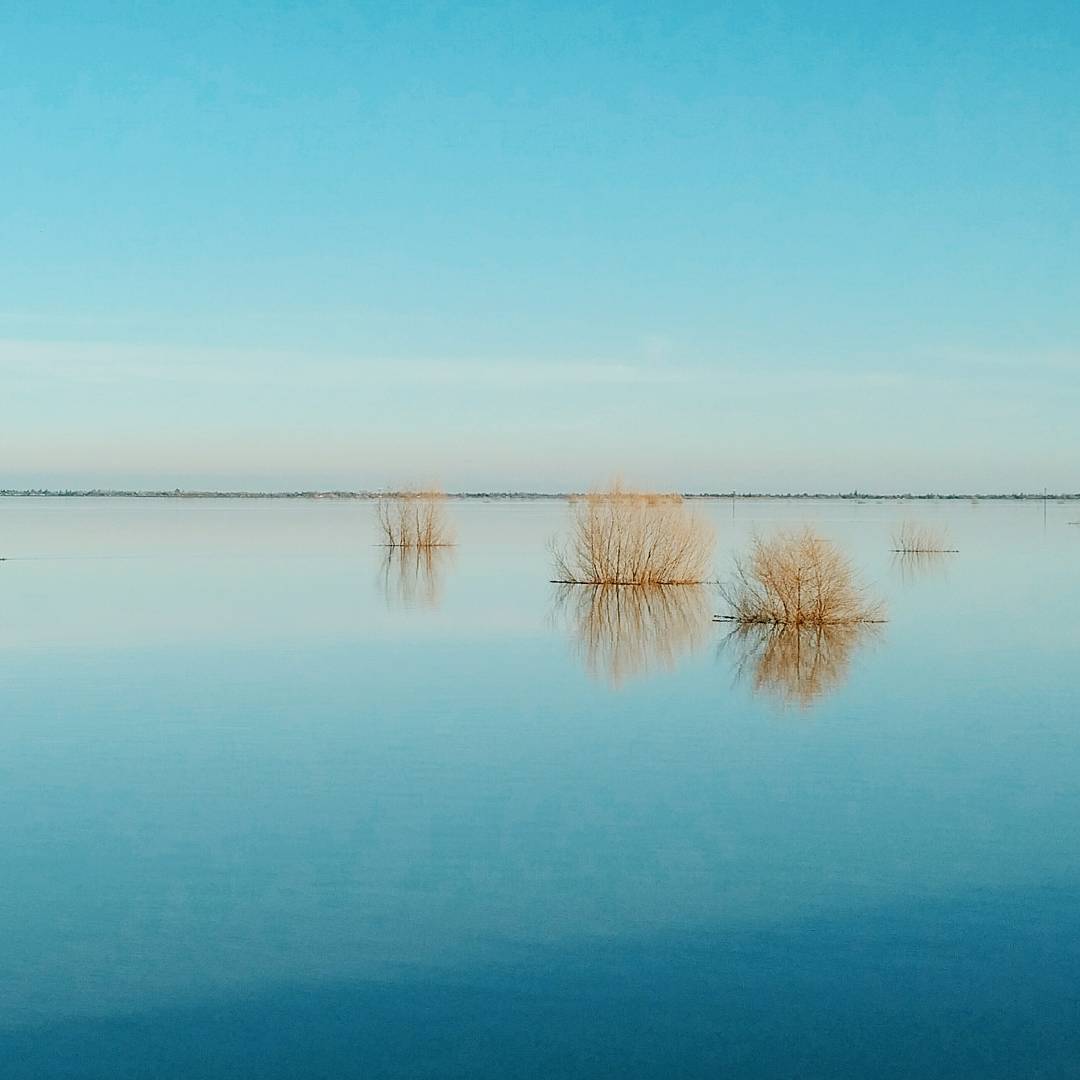 Yolo Bypass Wildlife Area