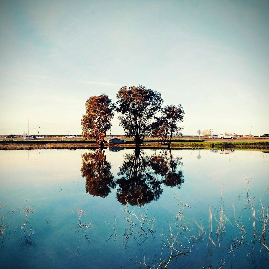 Yolo Bypass Wildlife Area